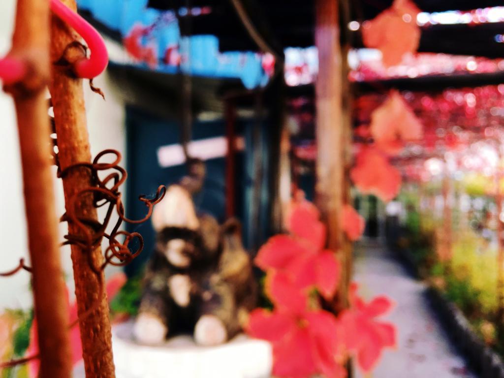 First Met Backpackers Hostel 청더 외부 사진